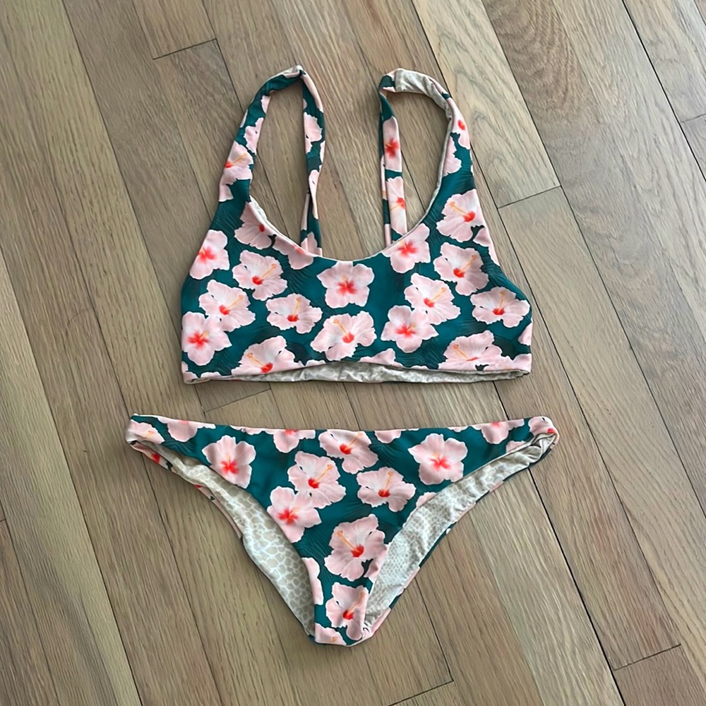 Acacia bikini